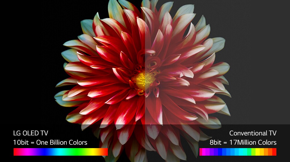 02_C7_A_Perfect Color on Perfect Black (sub)